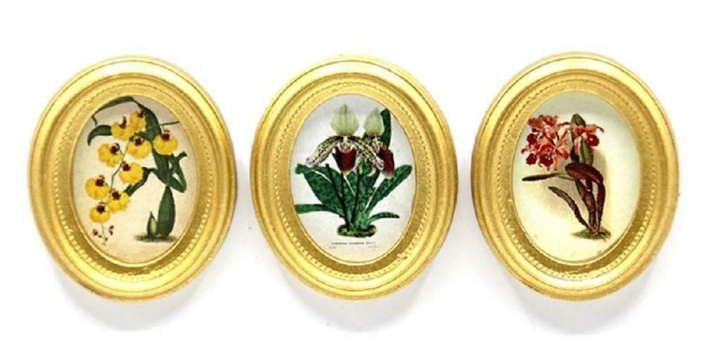 Dolls House 3 Botanical Orchid Painting Pictures Gold Frames Miniature Accessory