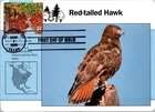 Dr Jim Stamps Maximum Card Red Shouldered Hawk 37C Fdc 2005