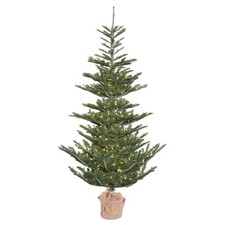 Vickerman 60" Alberta Spruce Artificial Christmas Tree with LED Lights in Green