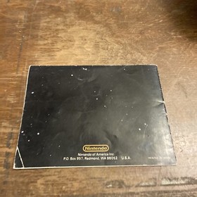 Kung Fu Manual Only NES Nintendo