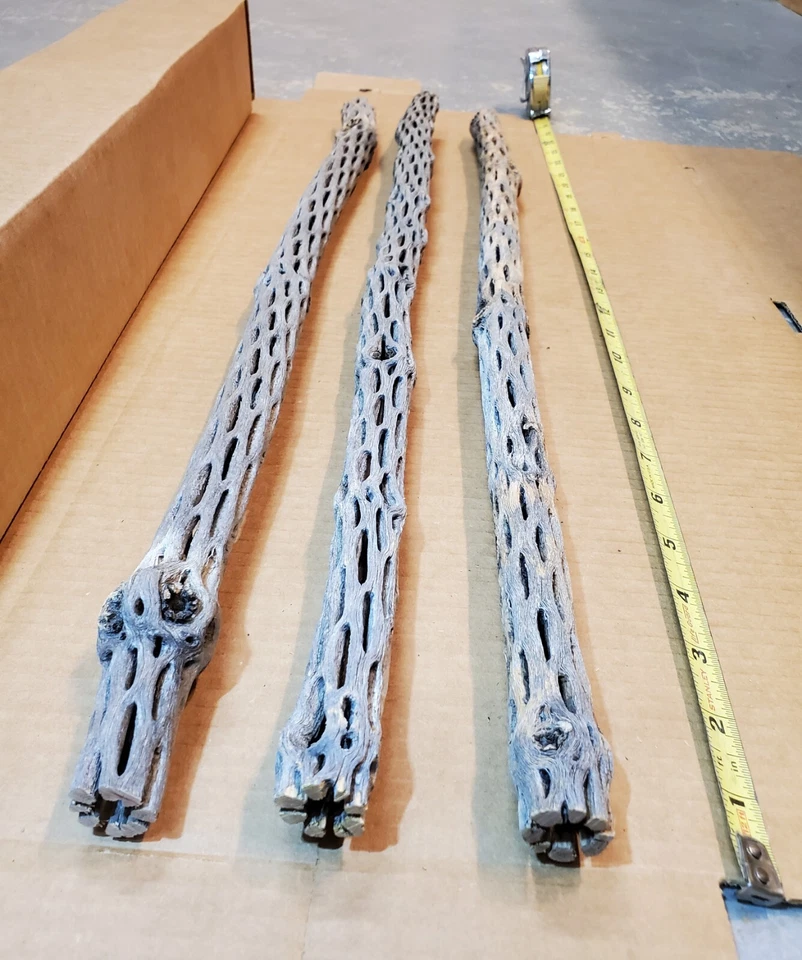 NEW! 3 CHOLLA Wood Pieces 24" inch EXTRA LONG Straight | Organic Aquarium Craft - Image 3 of 4