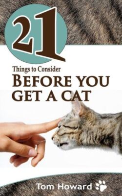 21 Things To Consider Before You Get A Cat