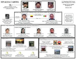 Sinaloa Cartel Organization Chart