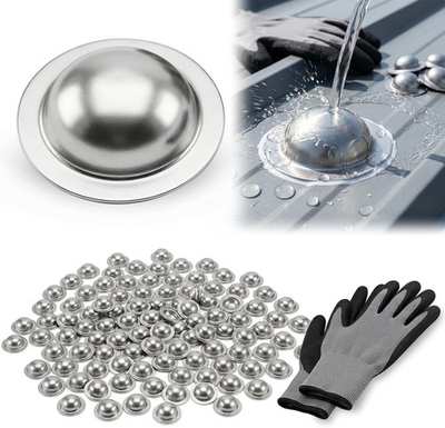 #ad Stainless Steel Roofing Screw Caps for Roof Leak RepairDirectly Cover 250 Pcs $107.99