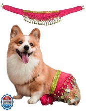Dog Belly Dancer Costume - Puppy Outfit with Sequin Waist Chain and Hip-Shaki