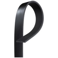 Gates Keilrippenriemen 8PK2020 Passend FüR Scania 4 F G P R T | 8PK2020HD