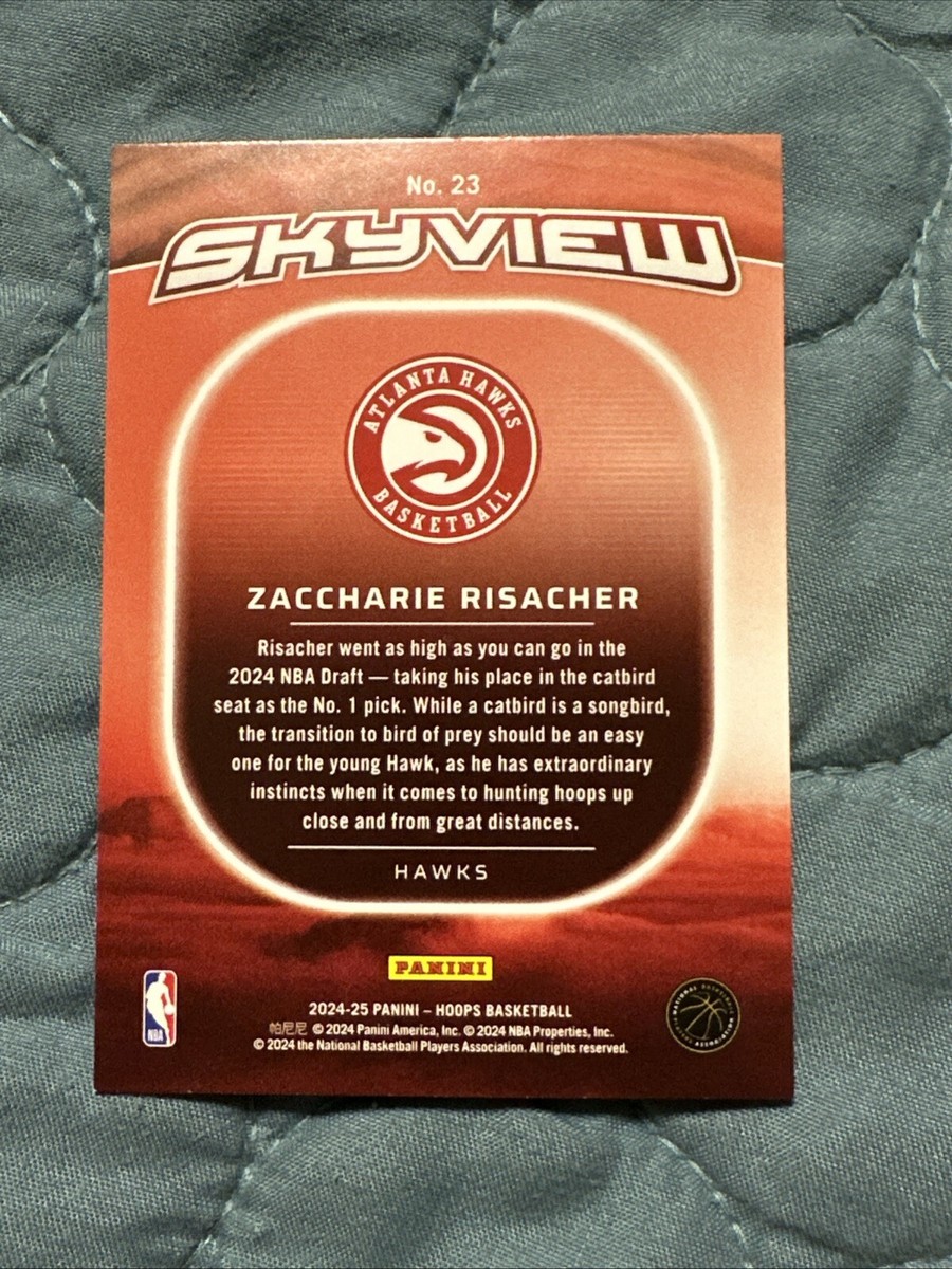 2024-25 Panini NBA Hoops Skyview Holo #23 Zaccharie Risacher