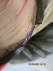 Bild 2 von 6