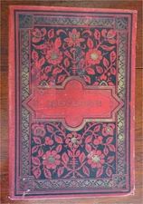 Amsterdam Holland Netherlands 1898 Tourist Souvenir Album 12 street scene photos