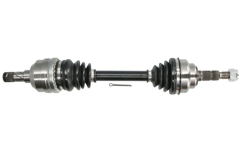 Picture 1