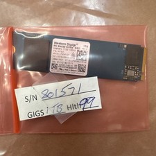 WD SDBPNPZ-1T00-1006 WD 1TB PCIe NVMe 3.0 x4 M.2 2280 SSD, 99% Health