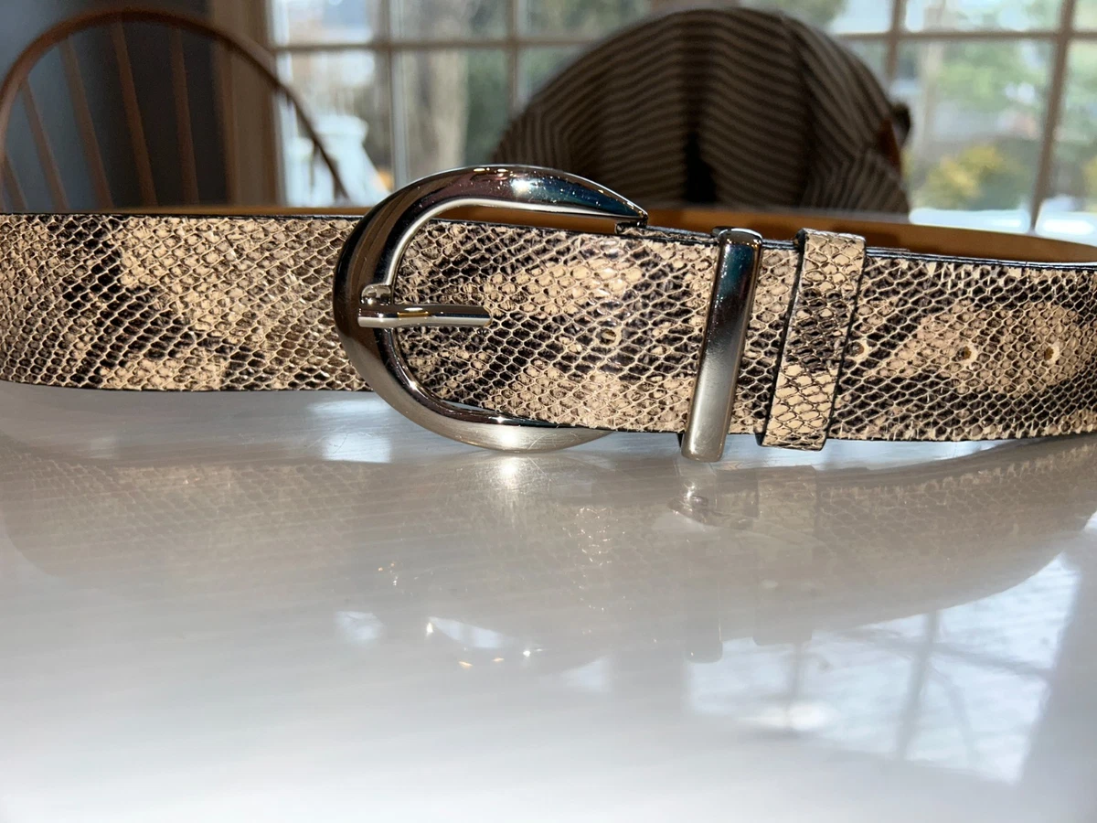 Vintage Carlisle Snakeskin Leather Belt with Silver Semi Studded Buckle Small Snakeskin Silver Belts for Women for sale | eBay main image 2