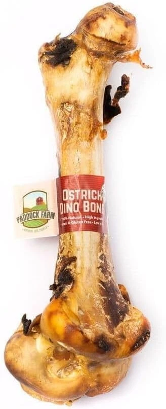 Paddock Farm Ostrich Dino Bone For Dogs