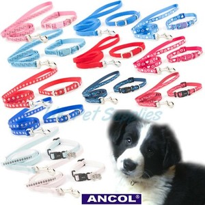 puppy collar and lead set