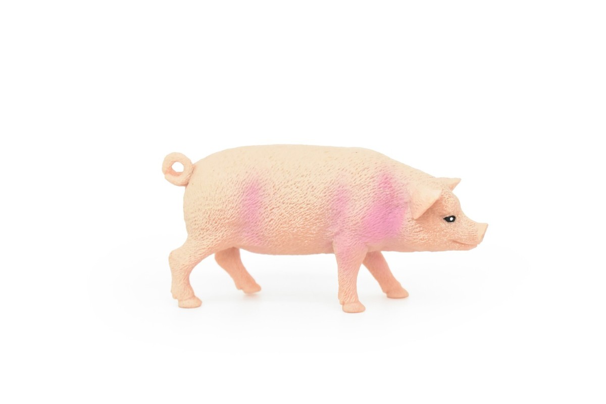 Pig Toy, Swine, Hog, Realistic Rubber Model, Hand Painted
