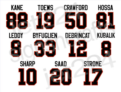 Chicago Blackhawks DECAL STICKER 2010s Kane Toews Hossa Crawford Byfuglien Sharp