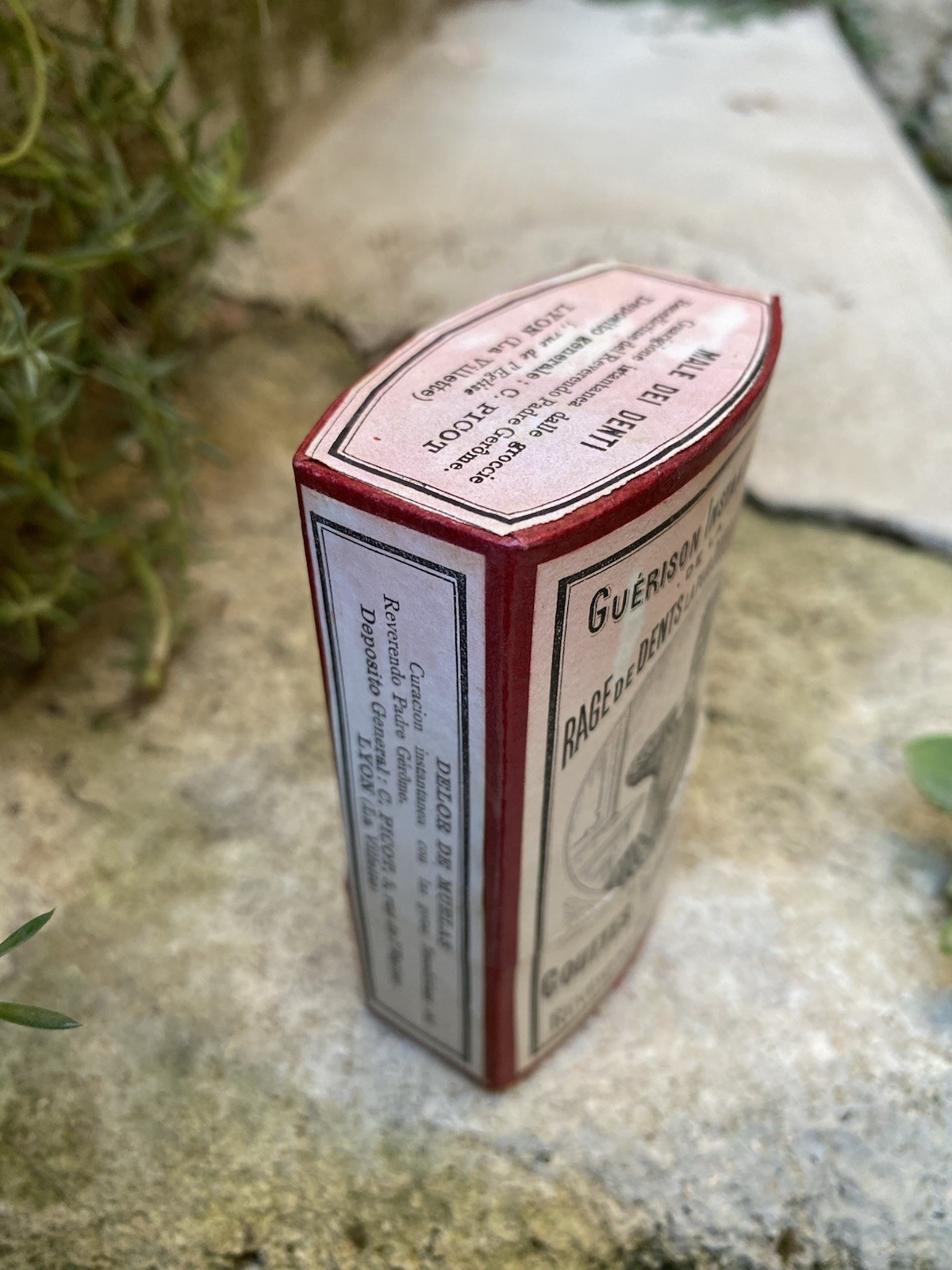 Antique Benedictine Drops Box Bad Tooth Rage 1900 Stunning Illustration