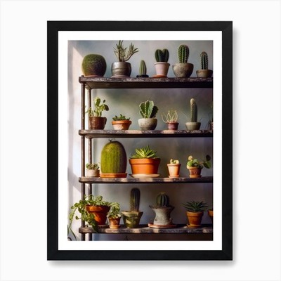 Kaktus Regal Pflanzenliebhaber Kunstdruck gerahmt Wandbild Poster Leinwanddruck Bild