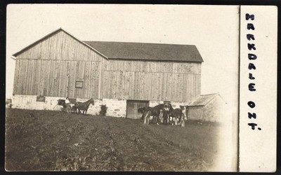 Canada MARKDALE Ontario 1910s Farm Barn Horses. Real Photo Postcard