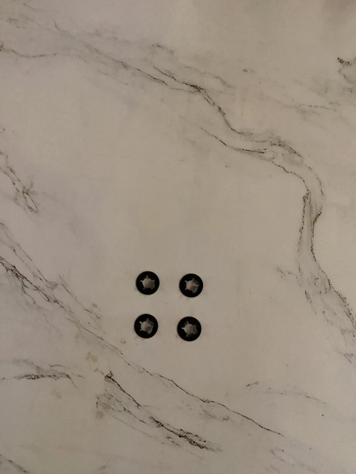 2003-2011 Lincoln Towncar Left Front Door Handle Bezel  Heat-Air-Memory - Image 3 of 3