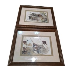 Signed Mads Stage Northern Pintail Duck Omar Conta Ducks Framed Art Lot Of 2