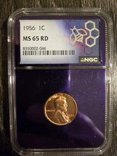 1956-Philadelphia Lincoln Wheat Cent 1C NGC Graded MS65 RD