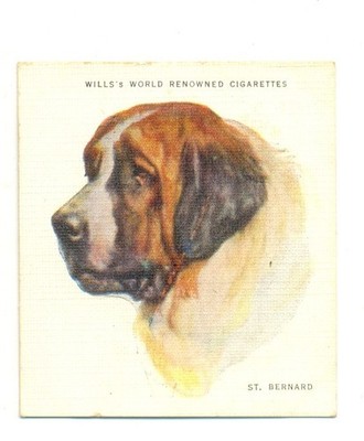 1927 WILL'S CIGARETTE CARD - DOGS CARD No 11 '' St. Bernard ''