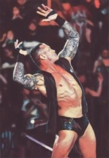 Classic Sports Prints - WWE Randy Orton - HUGE Canvas Print -ReadytoHang