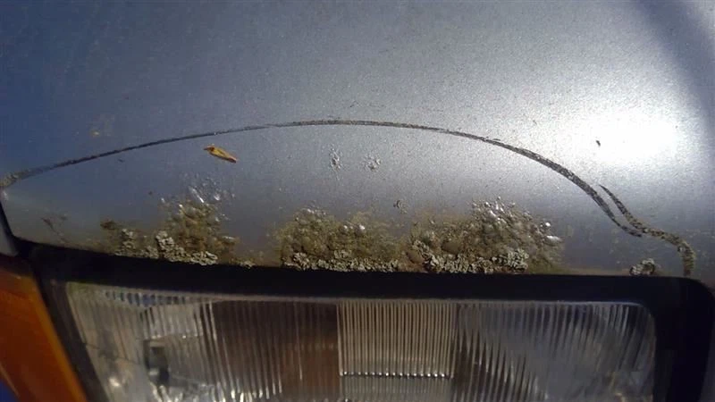 Hood Fits 94-98 AUDI CABRIOLET 377569 Foto 2 de 4