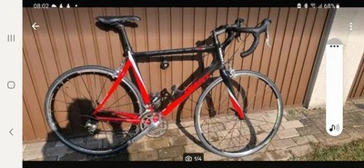 Rennrad GIANT TCR C2 CARBON  ULTEGRA - Bild 1 von 4