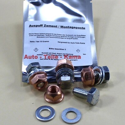  4 x Auspuff Montage Schrauben M 8 x 1,25 / 16 mm und 4 x Muttern + Montagepaste