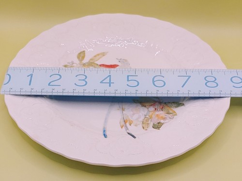 Alfred Meakin England Birds of America Plate, Set Of 6 Different Plates  - Bild 6 von 12