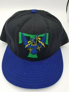 trenton thunder fitted hats