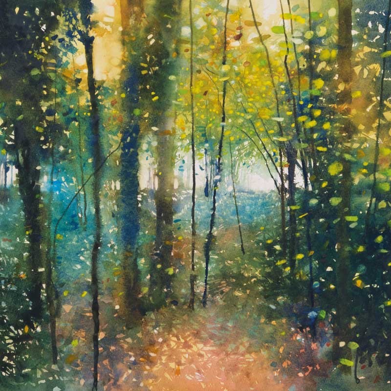Woodland Sparkle - Fine Art Blank Greeting / Birthday Card -  Trees Wood Sunset