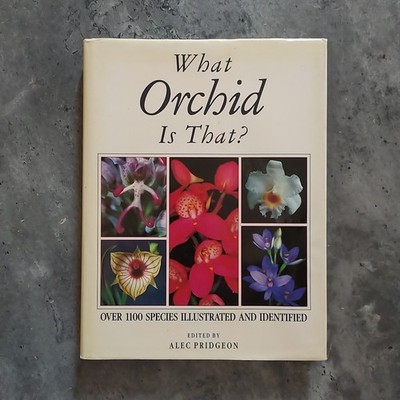 1100 illustrierte Orchideenarten - Alec Pridgeon - Botanik - Orchidee