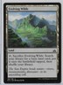 MTG Evolving Wilds Rivals of Ixalan (RIX) Common Magic Card #186/196 Unplayed