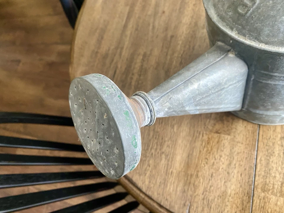 Regadera vintage de acero galvanizado de 8 cuartos Foto 3 de 4