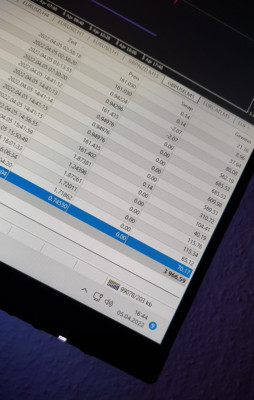Börsen Software Handelssysteme I Handelsroboter I Expert Advisor I Forex Trading