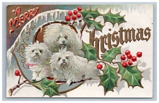 Christmas Maltese Puppy Dog Berries Embossed Postcard Terrier