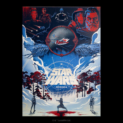  DISPLATE  LIMITED EDITION ?/1000 | STAR WARS  - AHSOKA TANO  | NEU & OVP