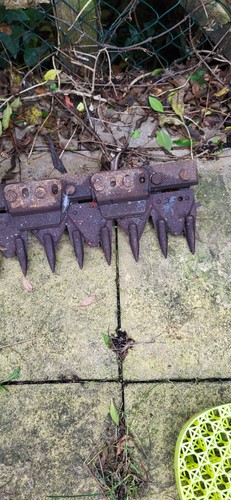 Wolseley Merry Tiller Sickle Mower Rotovator - Picture 5 of 11
