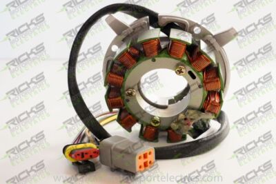 Ricks Stator For Ski-Doo Touring E 380 1998-2000 24-102