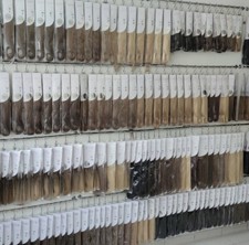 HairTalk tape Hair Extensions Hotheads Human Hair FREE POSTAGE-pack of 12 pcs