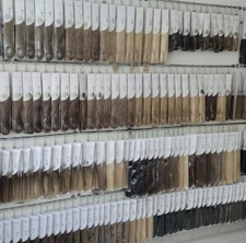 HairTalk tape Hair Extensions Hotheads Human Hair FREE POSTAGE-pack of 12 pcs