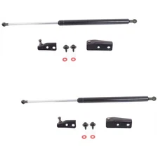 Set of 2 Liftgate Lift Supports  Driver & Passenger Side Left Right Pair
