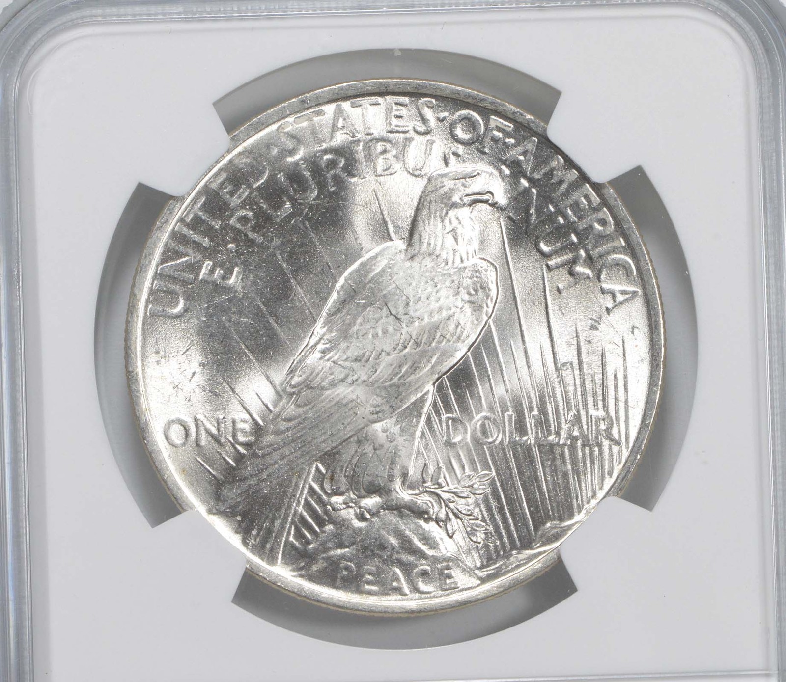 Picture 4 of 5