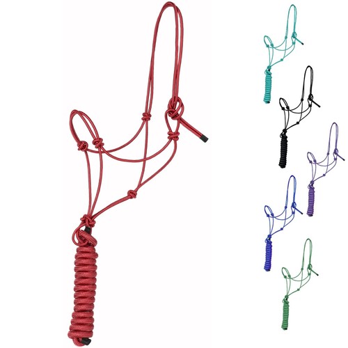 Majestic Ally 1/4" Rope 4 Knot Stiff Polyester Training Halter with 10’ Matching - Picture 5 of 15