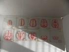 Bild 4 von 6