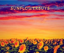 ESTEE LAUDER Deluxe EyeShadow Compact Palette Pure Color 18 Colors .01 oz / .45