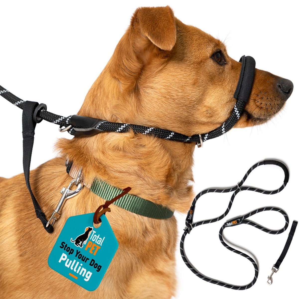Rope Dog Collar And Leash Found Found My Animal Adjustable Ombre